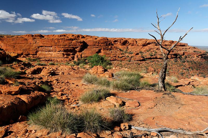 2007 05 10 Red Centre 014_DXO.jpg